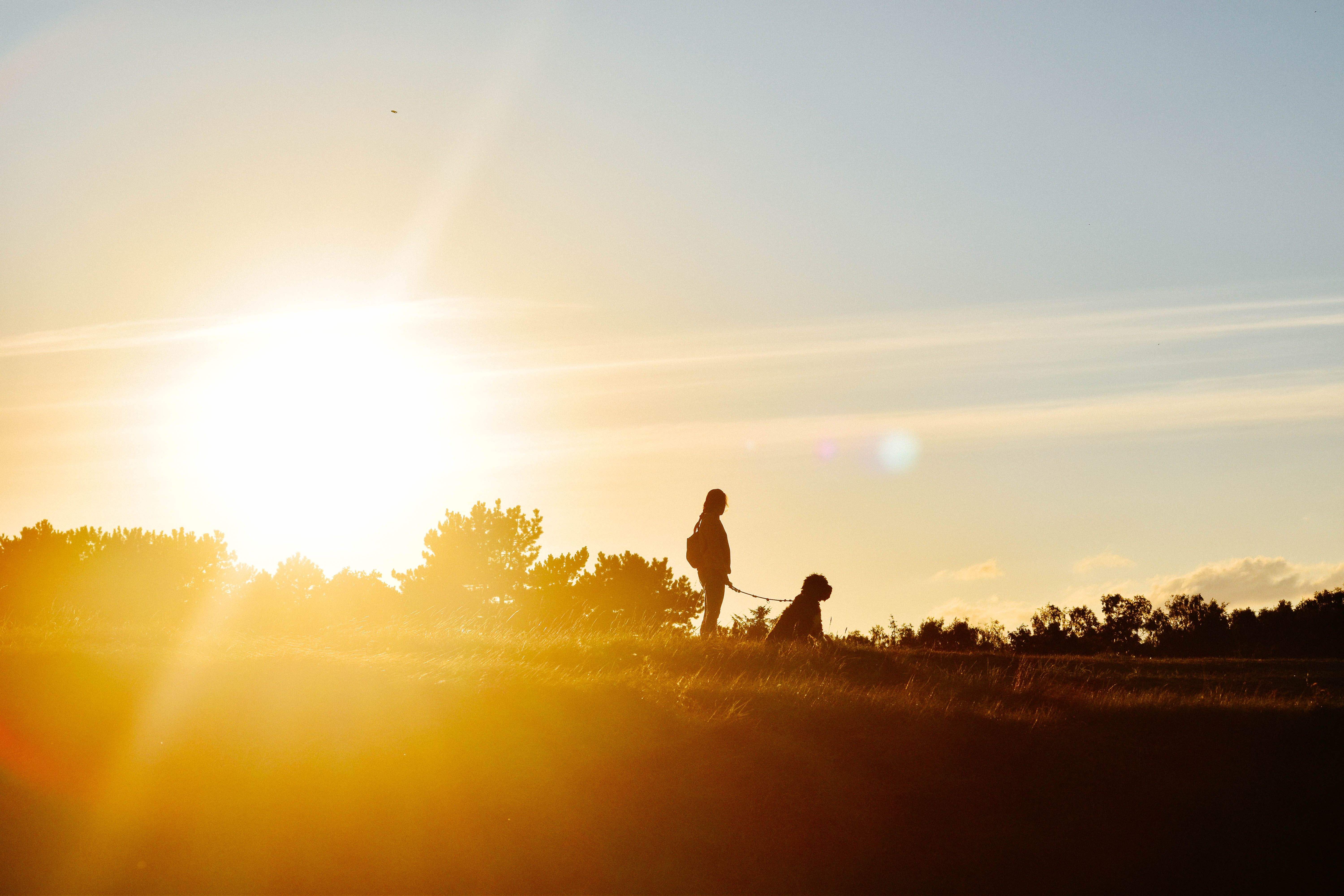 Sunset silhouette walk